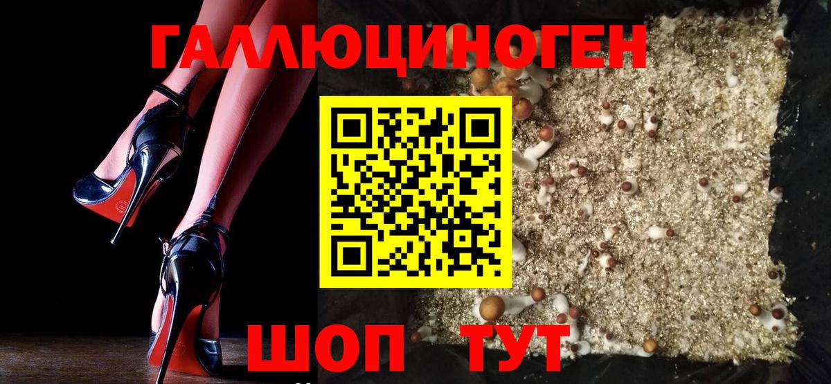 Химки  Псилоцибиновые грибы Psilocybine cubensis  Вход с VPN  Псилоцибиновые грибы прущие грибы 