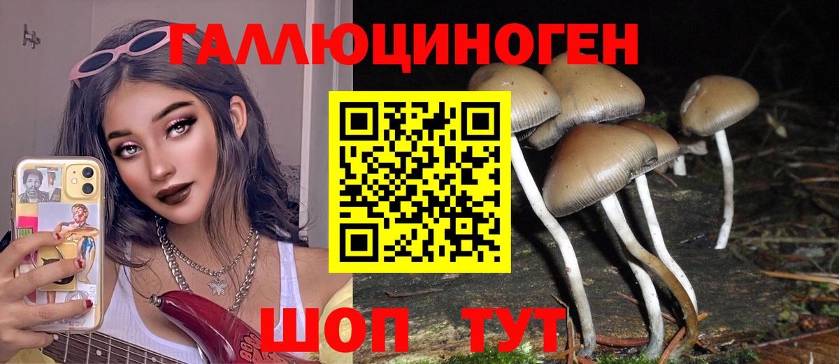 Псилоцибиновые грибы Magic Shrooms Химки